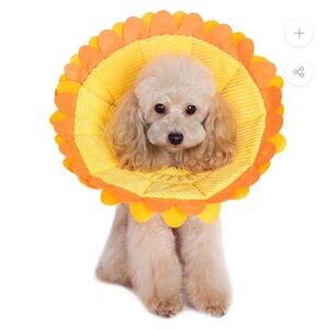 Alfie Sunflower Recovery Cone